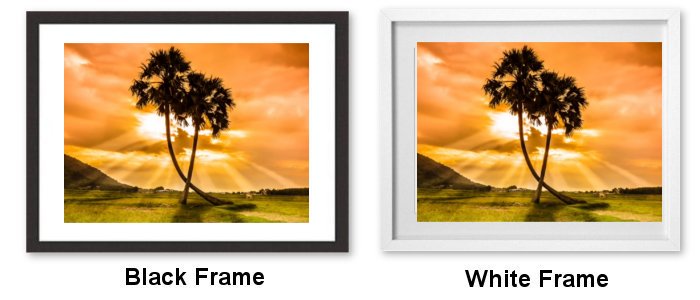 Select Your Frame